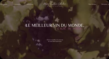 Logo lemeilleurvinsdudmonde